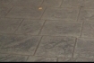 Sidewalk Slate Sidewalk Slate